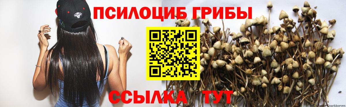 Лангепас  Галлюциногенные грибы GOLDEN TEACHER  Вход с VPN 